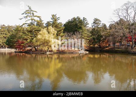 Japanischer Garten im Todaiji-Tempelkomplex in Nara, Japan Stockfoto