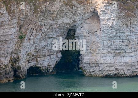 Nahaufnahme von geschichteten weißen Kreidefelsen, die Wellenerosion in Bögen und Höhlen über der Nordsee in Flamborough zeigen Stockfoto