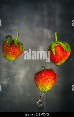 Erdbeeren mit Wassertropfen und verschwommenem Hintergrund. Stockfoto