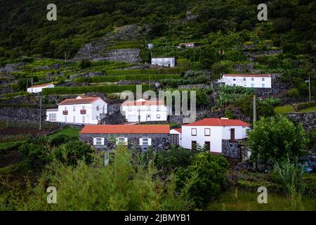 São Jorge, Portugal - 13 August 2021 : Häuser in Fajã dos Vimes Stockfoto