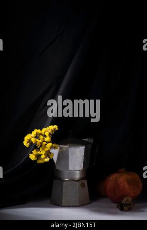 Dramatische Frühlingsstill-Leben mit gelben Blüten auf einem weiß-schwarzen Hintergrund Stockfoto