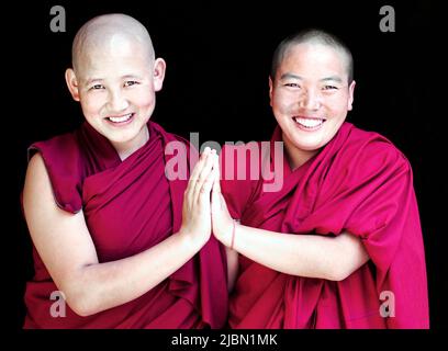 Portrait von zwei tibetisch-buddhistischen Nonnen, die ein gemeinsames Friedenszeichen gaben. Mcleod Ganj, Dharamsala, Indien. Stockfoto