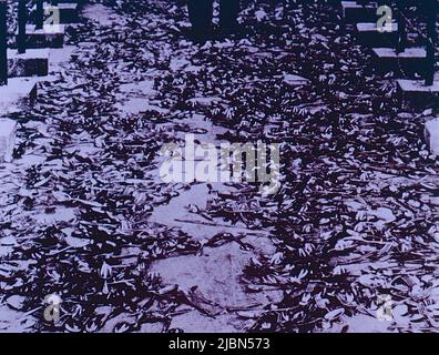 Besteck, Kunstwerk des deutschen Künstlers Wolf Vostell, 1970s Stockfoto