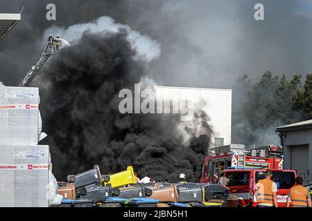 07. Juni 2022, Sachsen-Anhalt, Halle (Saale): Feuerwehrleute versuchen, das Feuer von der Feuerleiter zu löschen. Im Recyclingzentrum der Halleschen Stadtwirtschaft brannte ein Radlager. Mehrere Feuerwehr waren im Einsatz. Foto: Heiko Rebsch/dpa Stockfoto