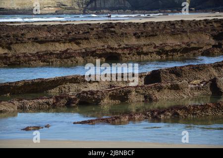 Ebbe auf Kosten von Biarritz Stockfoto