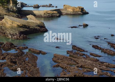 Ebbe auf Kosten von Biarritz Stockfoto