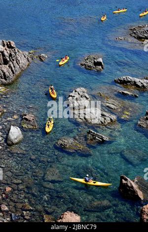 Llafranc in Spanien Kinder, die an Kajak- und Kanuaktivitäten teilnehmen Stockfoto