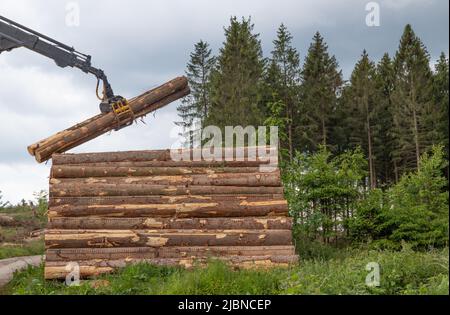 Ein Baggergreifer legt baumhörnchen auf einen Stapel in einem Wald Stockfoto