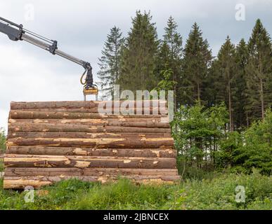 Ein Baggergreifer legt baumhörnchen auf einen Stapel in einem Wald Stockfoto