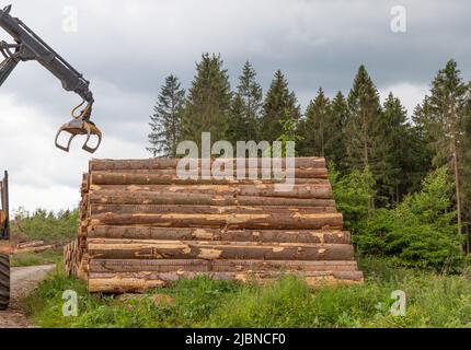 Ein Baggergreifer legt baumhörnchen auf einen Stapel in einem Wald Stockfoto