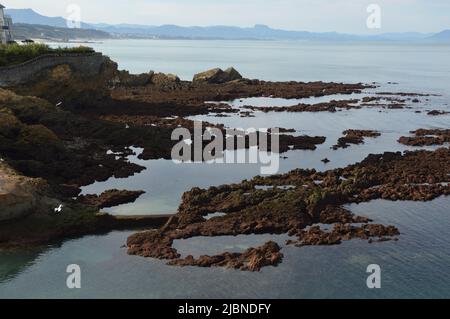 Ebbe auf Kosten von Biarritz Stockfoto