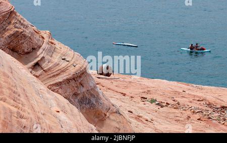 Page, Arizona, USA. 4.. Juni 2022. Paddelboarder in Lake Powell fahren an einer Boje am Rand einer Klippe vorbei, die dank des niedrigeren Wasserspiegels in den letzten zwei Jahrzehnten hoch und trocken sitzt. Lake Powell, ein Reservoir, das durch die Überschwemmung des Colorado River hinter dem Glen Canyon Dam entstanden ist, hat in den 22. Jahren einer riesigen Dürre, die einen Großteil der westlichen USA trifft, eine Kapazität von 27 %. (Bild: © John Gastaldo/ZUMA Press Wire) Stockfoto