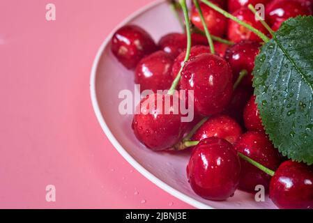 Nahaufnahme von frisch gepflückten Kirschen in Kunststoffplatte auf rosa Hintergrund Stockfoto