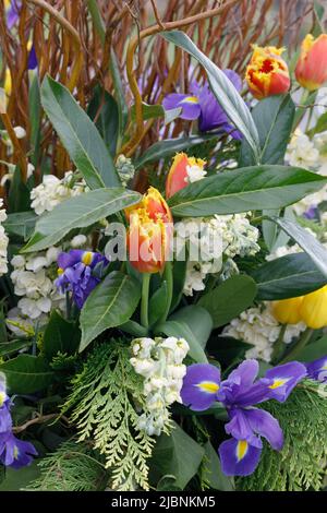 Dekorative Blumenausstellung auf der Malvern Spring Show. Stockfoto