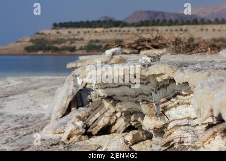 Nahaufnahme der Salzformation aus weißem Kristall an der Küste des Toten Meeres, Jordanien Stockfoto