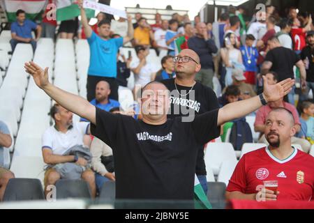 Cesena, Italien. 07.. Juni 2022. ROM, Italien - 07.06.2022: Während des Fußballspiels der UEFA Nations League 2023 zwischen Italien und Ungarn am 07. juni 2022 im Orogel Stadium-Dino Manuzzi in Cesena. Kredit: Unabhängige Fotoagentur/Alamy Live Nachrichten Stockfoto