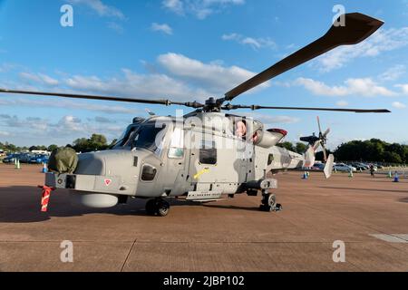 RAF Fairford, Gloucestershire, Großbritannien - Juli 2019: Royal Navy, Fleet Air Arm, AgustaWestland AW159 Wildcat HMA.2 Hubschrauber (ZZ529) auf dem RIAT 2019 Stockfoto