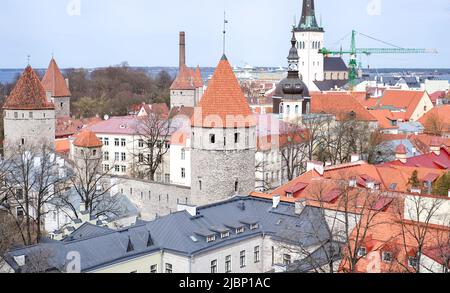 Draufsicht auf die Altstadt - der älteste Teil von Tallinn in Estland mit orangefarbenen Ziegeldächern und antiken Gebäuden Stockfoto