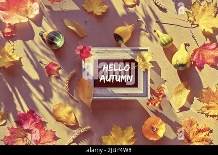 Text Hallo Herbst auf Tafel, Kreidetafel. Trockene Herbstblätter und Kürbisse auf Karton-Hintergrund. Stockfoto