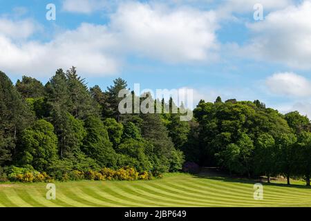6. Juni 2022. Grant Park, Forres, Moray, Schottland. Dies ist der sehr grüne Grant Park in Forres an einem sehr sonnigen Sommertag. Stockfoto