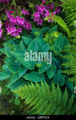 USA, Oregon, Clatsop County, Westküste, Oregon Coast, Cannon Beach, Garten Stockfoto