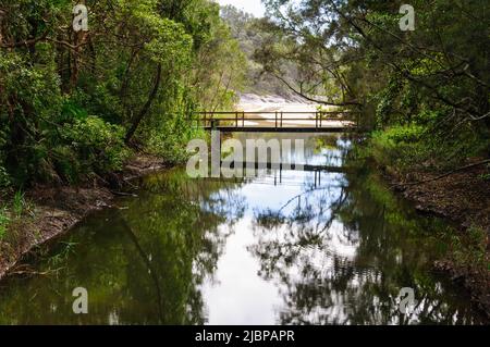 Jordans Creek in der Nähe seiner Mündung - Coffs Harbour, NSW, Australien Stockfoto