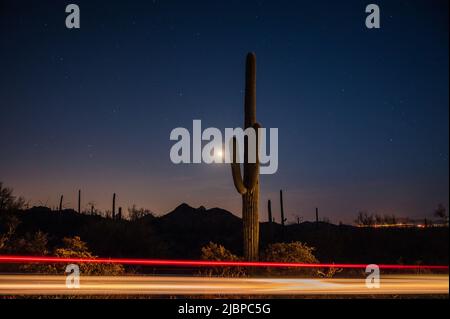 Vollblutmond steigt hinter dem saguaro-Kaktus auf. Leichte Spuren vom Auto im Vordergrund. Totale Mondfinsternis. Stockfoto