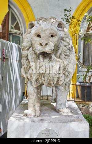 Skulptur eines Löwen aus Stein auf einem Sockel auf der Straße in Tel Aviv in der Nähe eines alten Hauses. Stockfoto