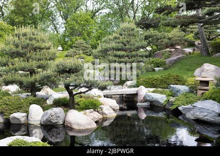 Der Japanische Garten am Como Conservatory in St. Paul, Minnesota. Stockfoto