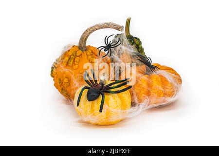Bund dekorativer gelber Kürbisse mit Spinnen für Halloween, isolieren, ausschneiden Stockfoto