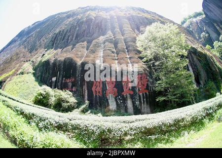 (220608) -- WUYISHAN, 8. Juni 2022 (Xinhua) -- das Foto vom 6. Juni 2022 zeigt alte Steininschriften auf dem Berg Wuyi in der südöstlichen Provinz Fujian in China. Der Berg Wuyi, der sich in der südöstlichen Provinz Fujian Chinas befindet, ist eine Landschaft von großer Schönheit, in der die Gipfel und Felsen grotesker Formen von klaren Bächen umgürtet und von grünen Bäumen und Bambuspflanzen umarmt werden. Als Lebensraum für eine große Anzahl von Wildtieren ist es von enormer Bedeutung für den Erhalt der biologischen Vielfalt. Auf dem Berg Wuyi gibt es eine Reihe außergewöhnlicher archäologischer Stätten, darunter die Überreste des alten Han D Stockfoto