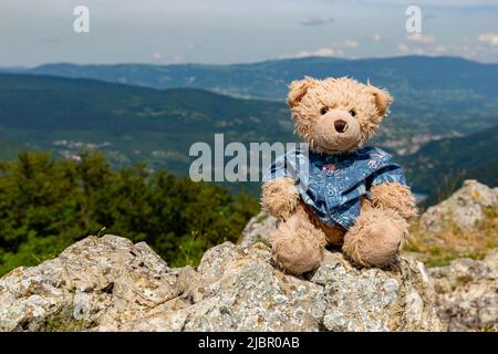 Ein Teddybär namens Dranik sitzt auf einem Berg. Stockfoto