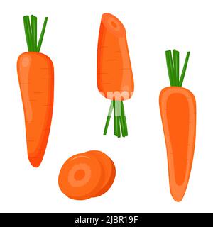 Set von Karotten isoliert auf weißem Hintergrund. Flache Vektorgrafik. Stock Vektor