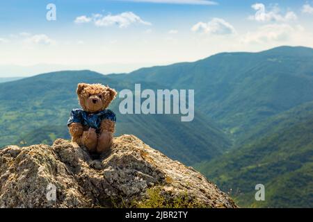 Ein Teddybär namens Dranik sitzt auf einem Berg. Stockfoto