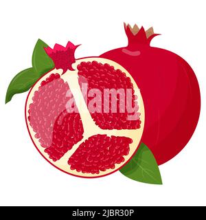 Ganzer Granatapfel isoliert auf weißem Hintergrund. Flache Vektorgrafik. Stock Vektor