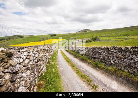 Dubcote Barn und weitere Gebäude auf Ackerland unterhalb von Pen-y-Ghent, Classic Yorkshire Dales Trockensteinmauern auf beiden Seiten der Strecke. Stockfoto