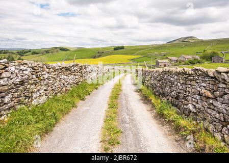 Dubcote Barn und weitere Gebäude auf Ackerland unterhalb von Pen-y-Ghent, Classic Yorkshire Dales Trockensteinmauern auf beiden Seiten der Strecke. Stockfoto