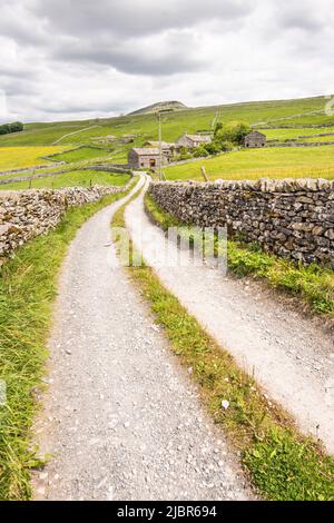 Dubcote Barn und weitere Gebäude auf Ackerland unterhalb von Pen-y-Ghent, Classic Yorkshire Dales Trockensteinmauern auf beiden Seiten der Strecke. Stockfoto