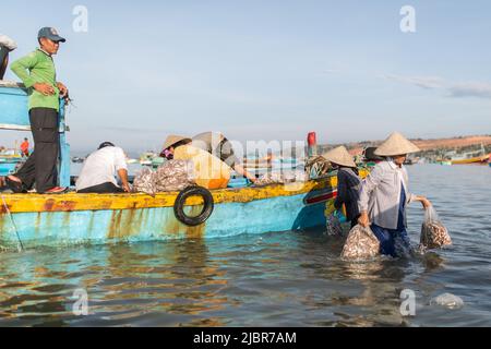 MUI NE, VIETNAM - 9. November 2016: Nicht identifizierte Menschen entladen am Morgen am Strand in Mui Ne am 9. November 2016, Vietnam. Stockfoto