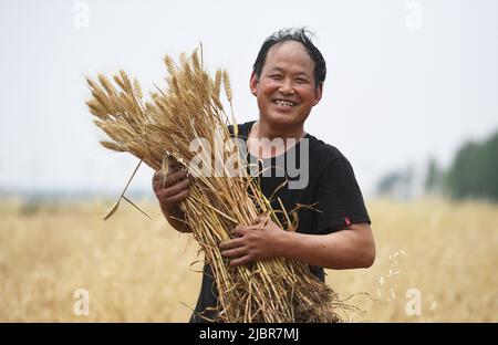 Jinan, Chinas Provinz Henan. 22.. Mai 2022. Der lokale Bauer Bai Lucai zeigt in der Stadt Huyang im Landkreis Tanghe, Stadt Nanyang, in der zentralchinesischen Provinz Henan, am 22. Mai 2022, frisch geernteten Weizen. Quelle: Zhang Haoran/Xinhua/Alamy Live News Stockfoto