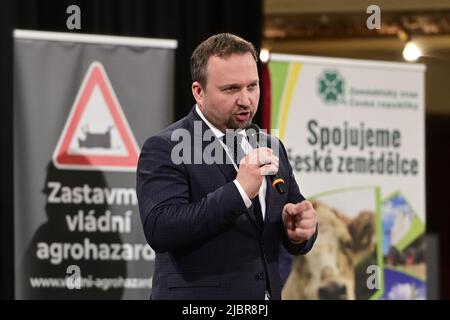 Prag, Tschechische Republik. 08.. Juni 2022. Der tschechische Landwirtschaftsminister Marian Jurecka spricht am 8. Juni 2022 im Lucerna-Palast in Prag, Tschechische Republik, während des Protesttreffens der Landwirte, um die Festlegung von Subventionen für Kleinbauern zu diskutieren. Kredit: Roman Vondrous/CTK Foto/Alamy Live Nachrichten Stockfoto