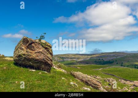 Eine der Norber-Erratiken oberhalb von Austwick im Craven District von West Yorkshire Stockfoto