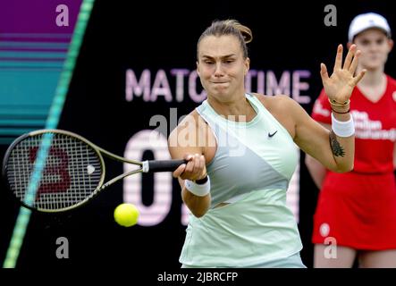 ROSMALEN - Tennisspielerin Aryna Sabalenka (Weißrussland) im Einsatz beim internationalen Tennisturnier Libema Open. Das kombinierte niederländische Tennisturnier für Männer und Frauen wird zwölf Tage lang auf den Rasenplätzen von Autotron ausgetragen. ANP SANDER KING Stockfoto