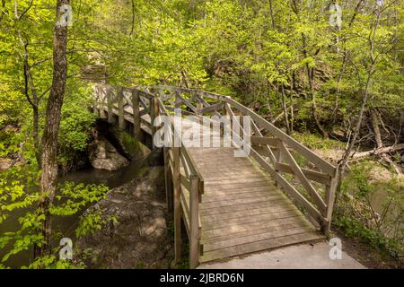 Eine hölzerne Fußgängerbrücke, die im Frühjahr einen Bach im Wald überquert. Stockfoto