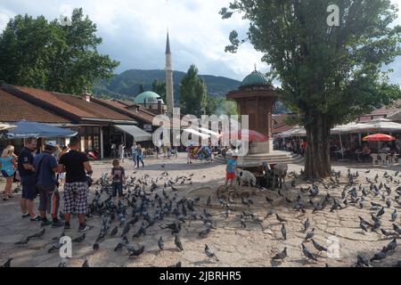 Touristen am Sebilj-Platz, Bascarsija. Taubenschar im alten Basarviertel mit historischem Holzbrunnen in der Altstadt von Sarajevo. Stockfoto