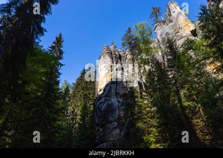 Sandsteintürme und Wald von Adrspach Rocks, Tschechische Republik Stockfoto