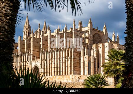 Fotografie der gotischen Kathedrale Santa Maria von Palma de Mallorca auch La Seu Kathedrale vor dunklen Wolken und sonnenbeschienenen. Stockfoto