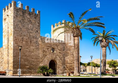 Mittelalterliches Stadttor von Alcúdia mit zwei Türmen und Zinnen als Tor zur Festung der Altstadt von Alcudia mit Palmen im Frühling. Stockfoto