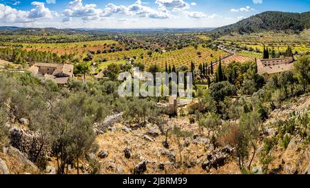 Panoramablick über das üppig grüne Gelände des öffentlichen Herrenhauses Raixa in der Gegend von Bunyola mit Mandelbaumplantagen und Olivenhainen. Stockfoto