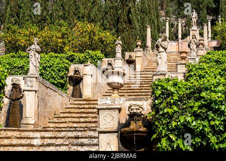 Horizontale Fotografie eines grimmigen Wasserspeiers vor einer alten Treppe mit Skulpturen und Amphoren, genannt Apollo-Treppe mit Statue des gottes Apollo. Stockfoto